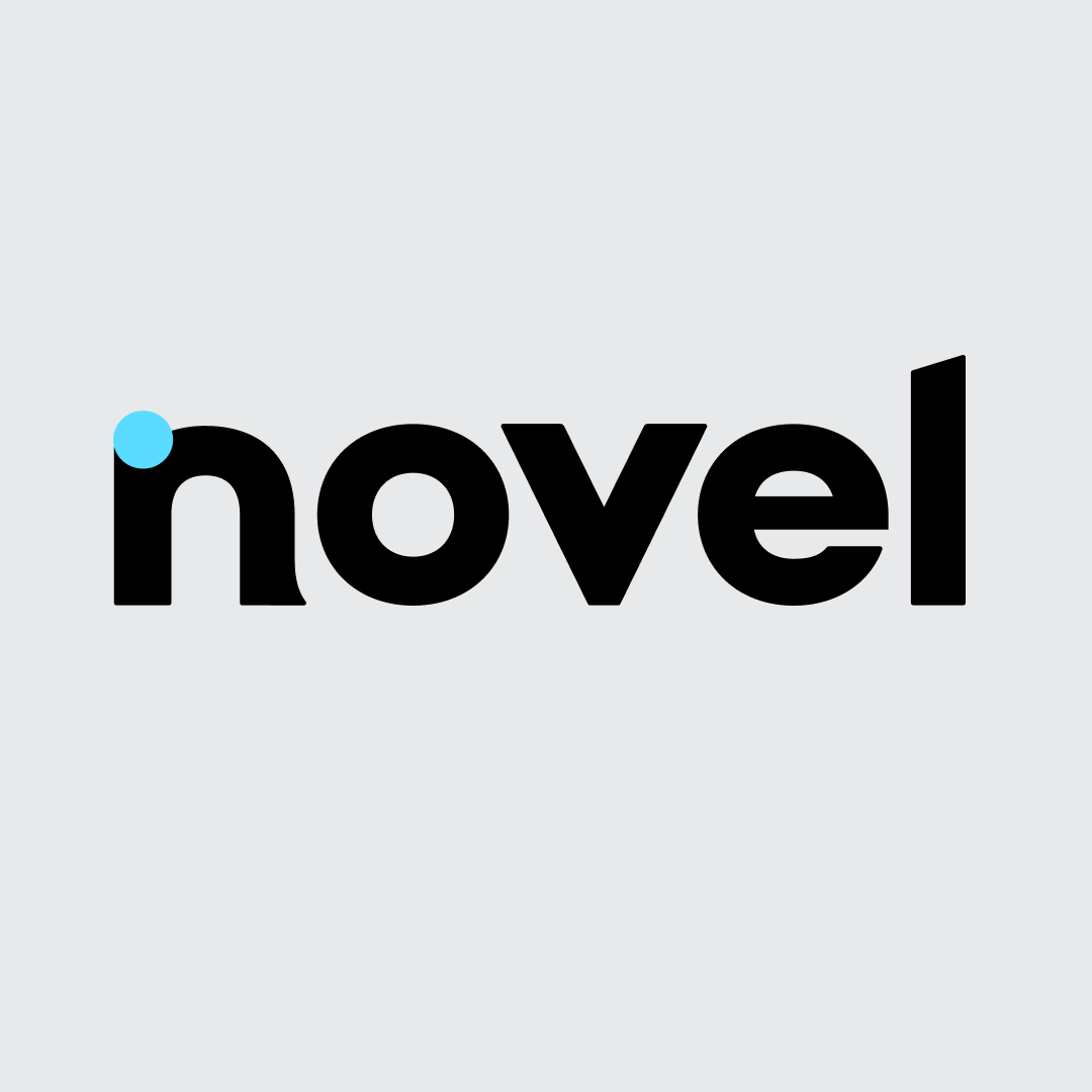 Novel